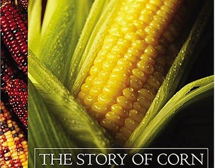 Betty Fussell. The Story of Corn. For Cheap