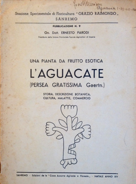 (Avocados) Parodi, Dr. Ernesto. Una Pianta da Frutto Esotica: L aguacate. Storia, Descrizione Botanica, Cultura, Malattie, Commercio. Online