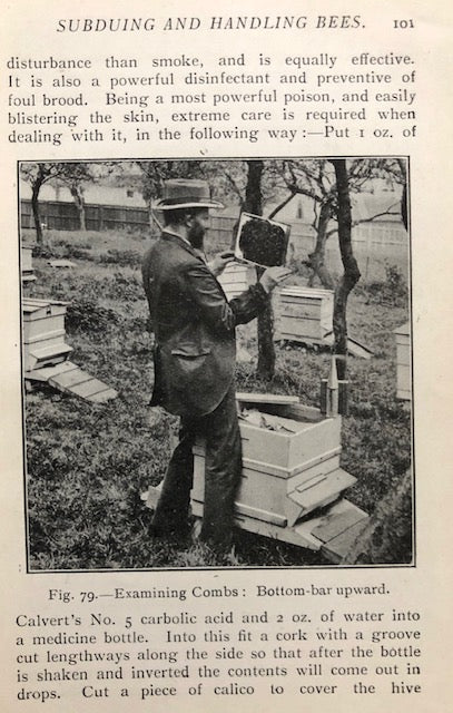 (Beekeeping) Cowan, T.W.  British Bee-Keeper s Guide Book to the Management of Bees in Movable-comb Hives, and the Use of Modern Bee-Appliances. Online