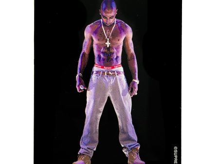 Supreme Tupac Hologram Sticker Fashion