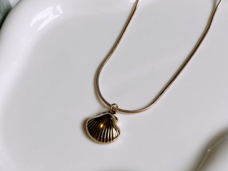 Seashell necklace Discount