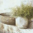 WL195 - Potted Plant and Basket  - 12x12 Online now