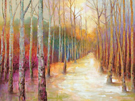 CC185 - Colorful Forest Trail - 16x12 Cheap