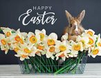 SB1150 - Happy Easter Bunny and Flowers - 16x12 Supply