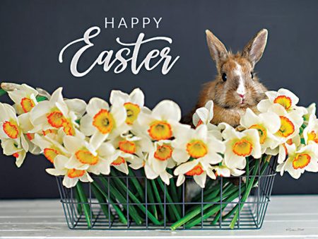 SB1150 - Happy Easter Bunny and Flowers - 16x12 Supply